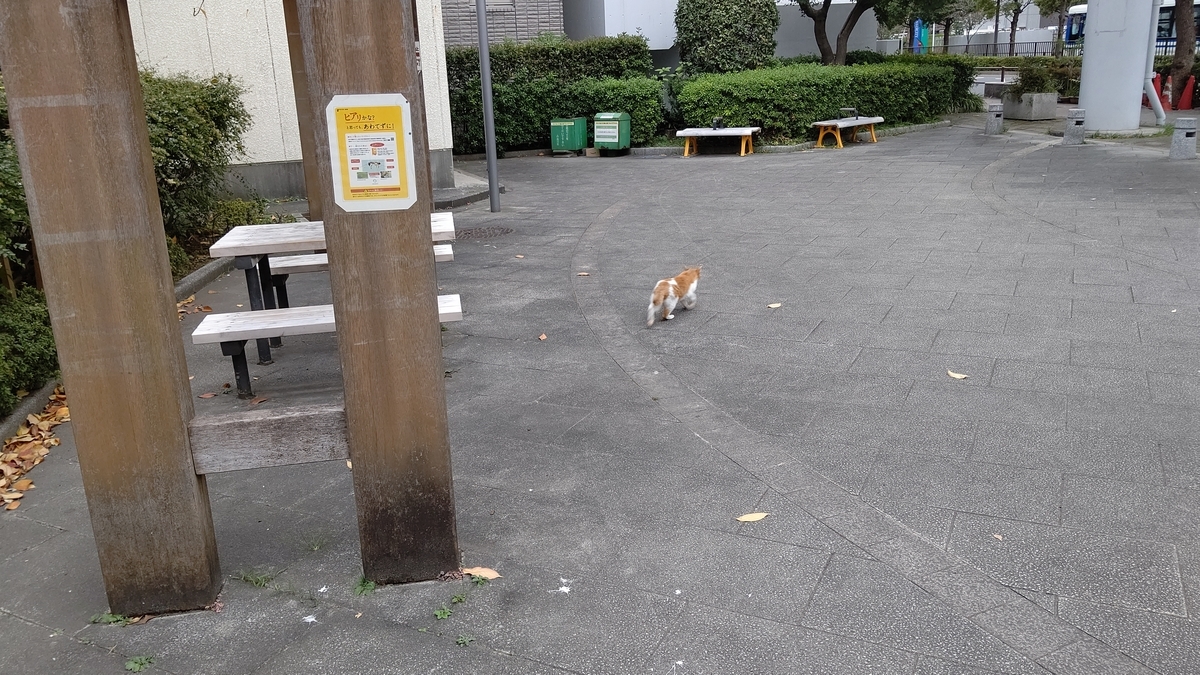 f:id:mikyo-ya:20201124105446j:plain