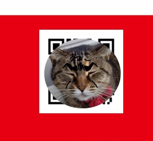 f:id:mikyo-ya:20201126110116j:plain
