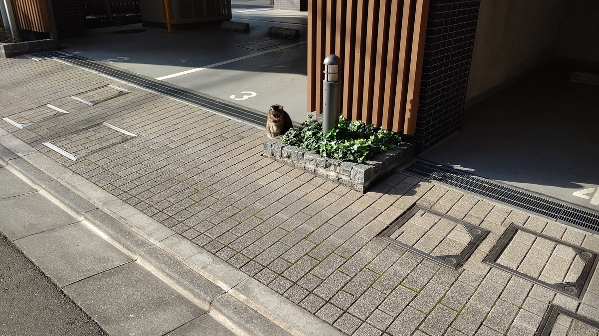 f:id:mikyo-ya:20201127104619j:plain