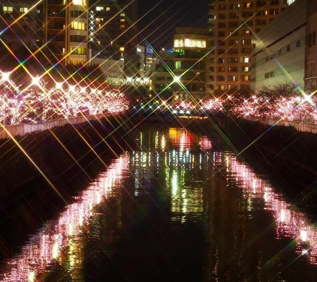 f:id:mikyo-ya:20201130104958j:plain