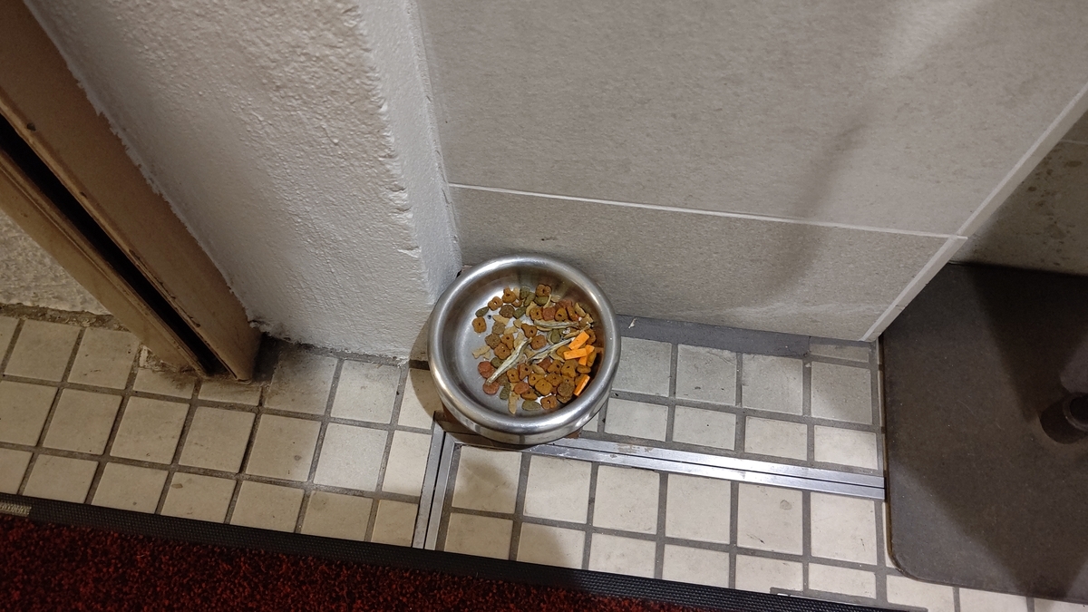f:id:mikyo-ya:20201219113140j:plain
