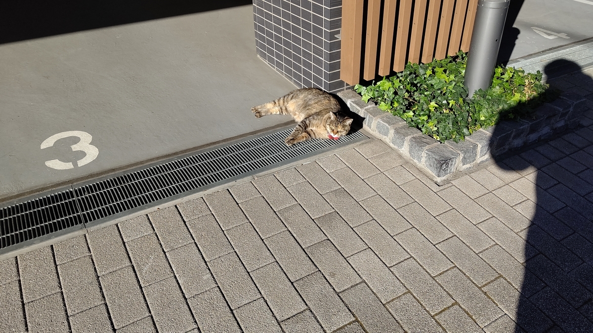 f:id:mikyo-ya:20210105105355j:plain