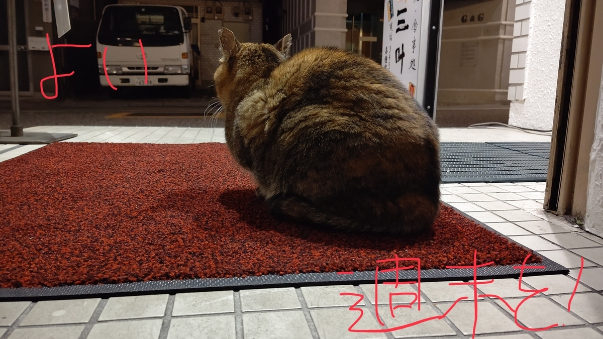 f:id:mikyo-ya:20210122110111j:plain
