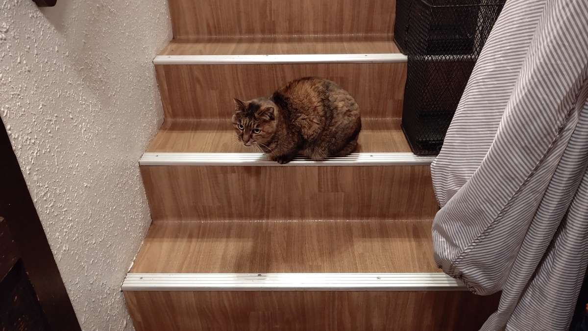 f:id:mikyo-ya:20210129110146j:plain