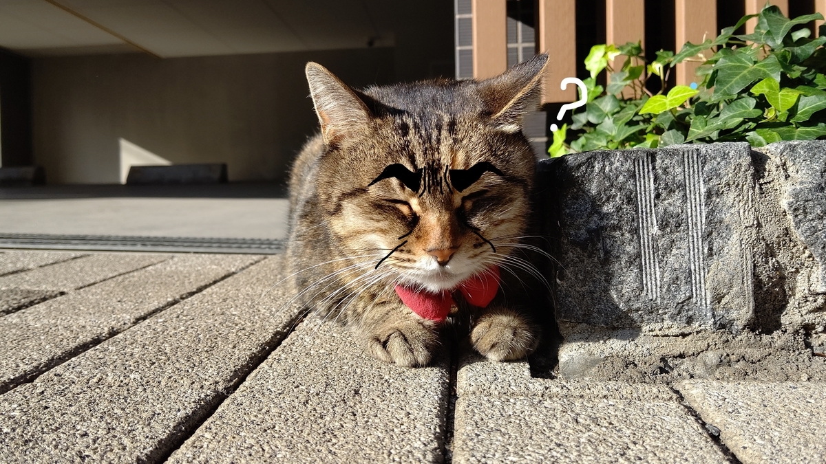 f:id:mikyo-ya:20210204111112j:plain