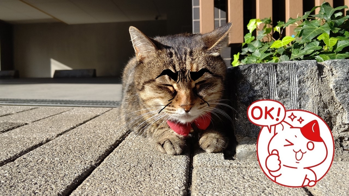 f:id:mikyo-ya:20210217103518j:plain