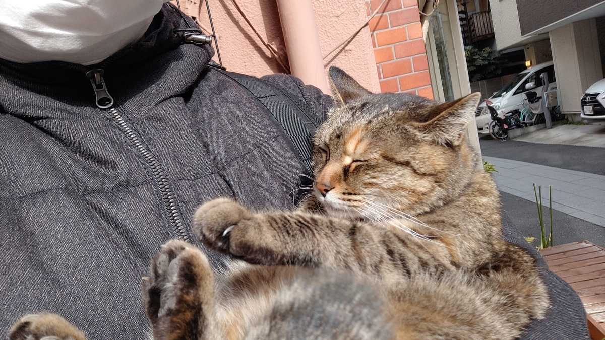 f:id:mikyo-ya:20210219110900j:plain