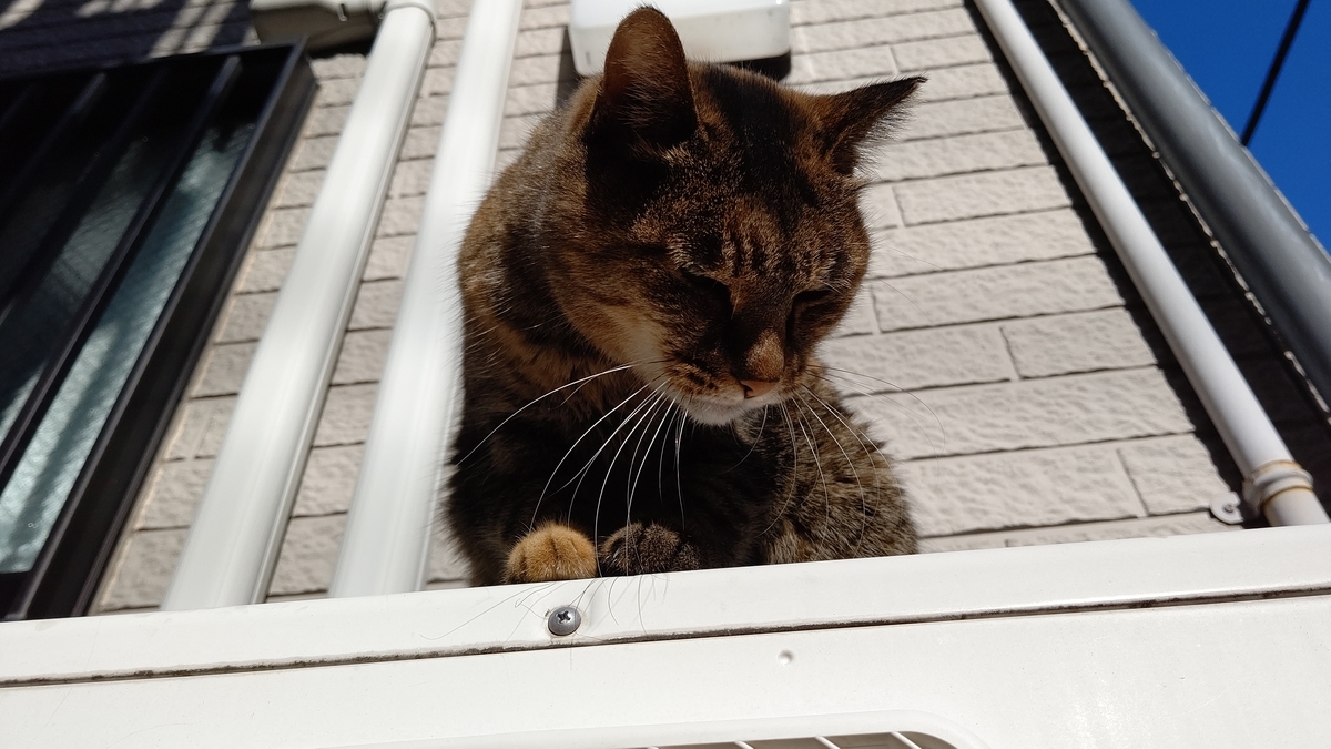 f:id:mikyo-ya:20210225105653j:plain