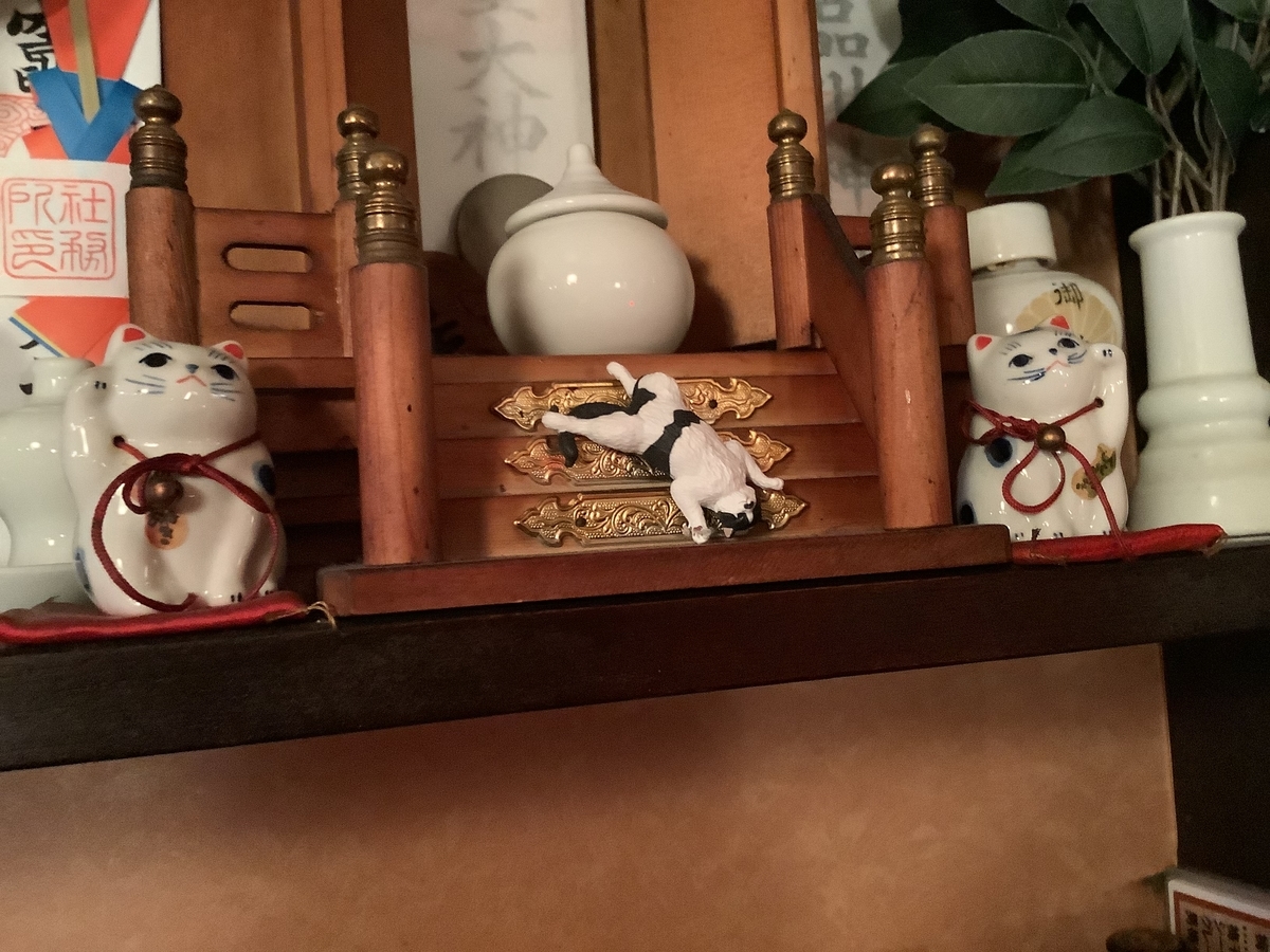 f:id:mikyo-ya:20210305105637j:plain