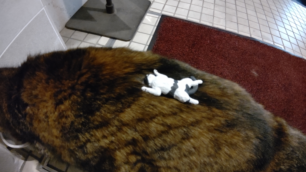 f:id:mikyo-ya:20210305110511j:plain