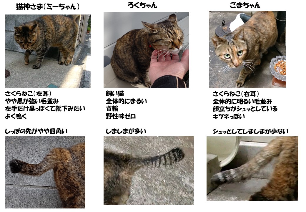 f:id:mikyo-ya:20210413104721j:plain