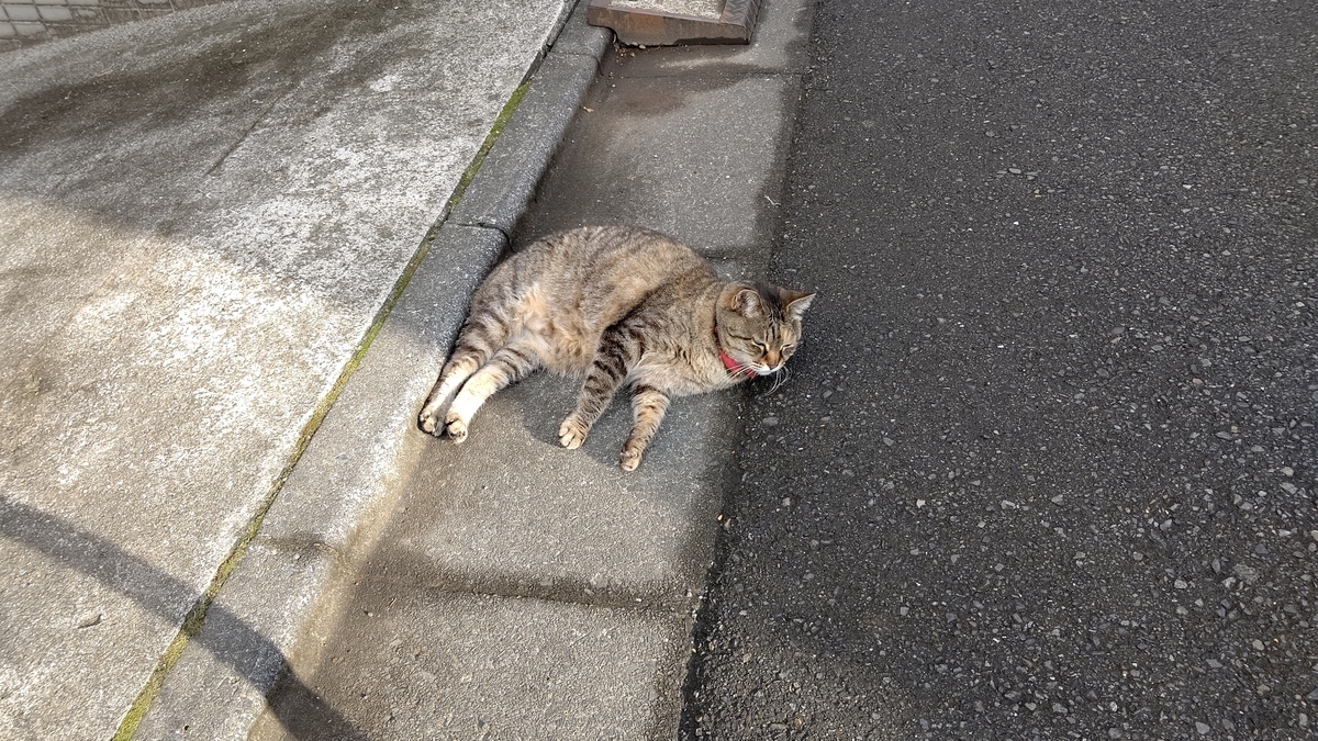 f:id:mikyo-ya:20210426110454j:plain