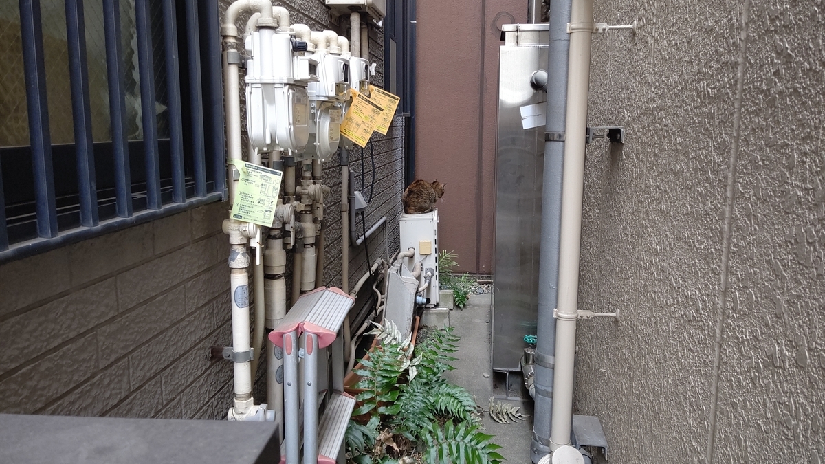 f:id:mikyo-ya:20210428111459j:plain