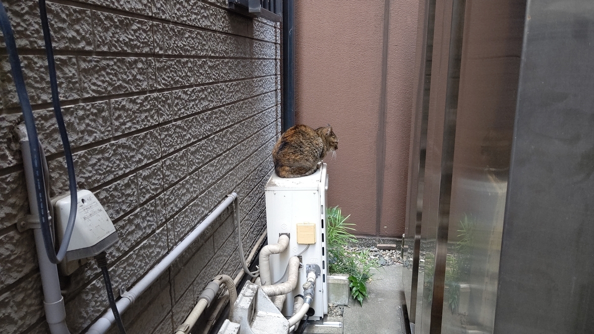 f:id:mikyo-ya:20210428111826j:plain