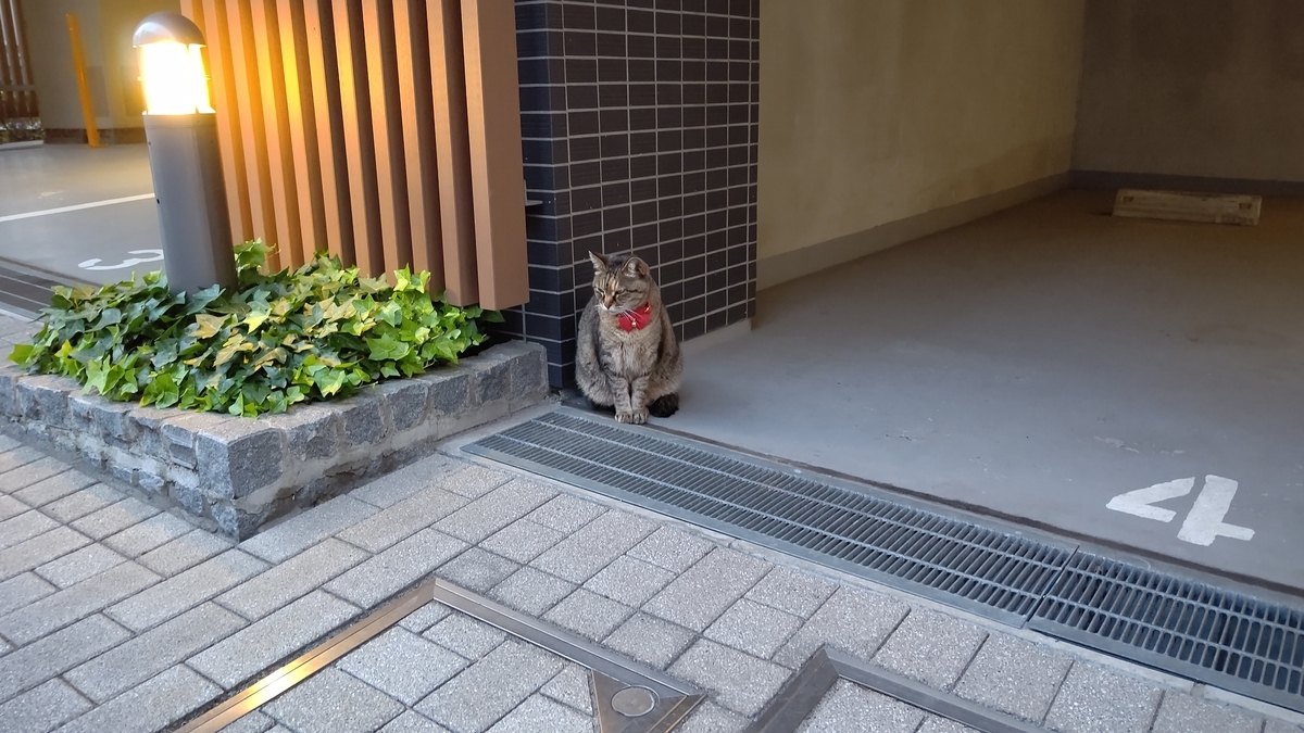 f:id:mikyo-ya:20210512110342j:plain