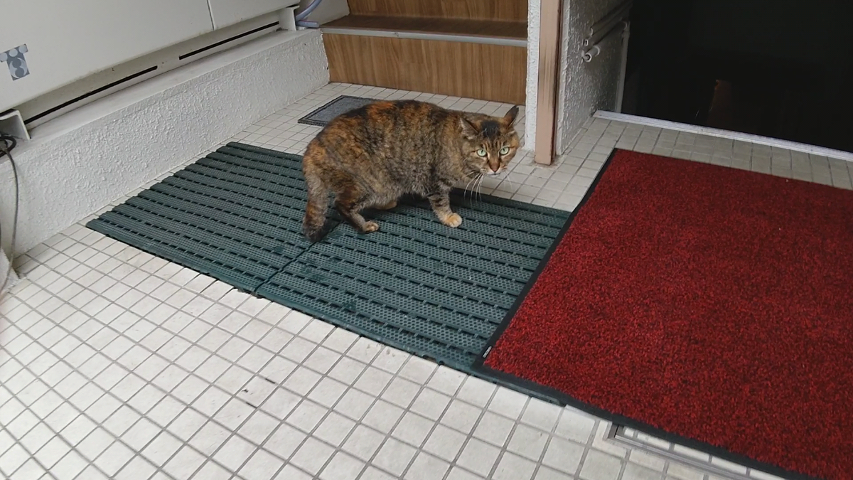 f:id:mikyo-ya:20210518105434p:plain