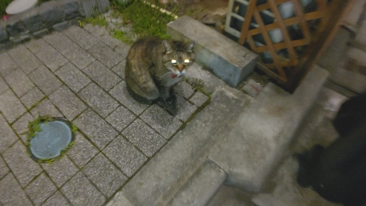 f:id:mikyo-ya:20210527110649p:plain