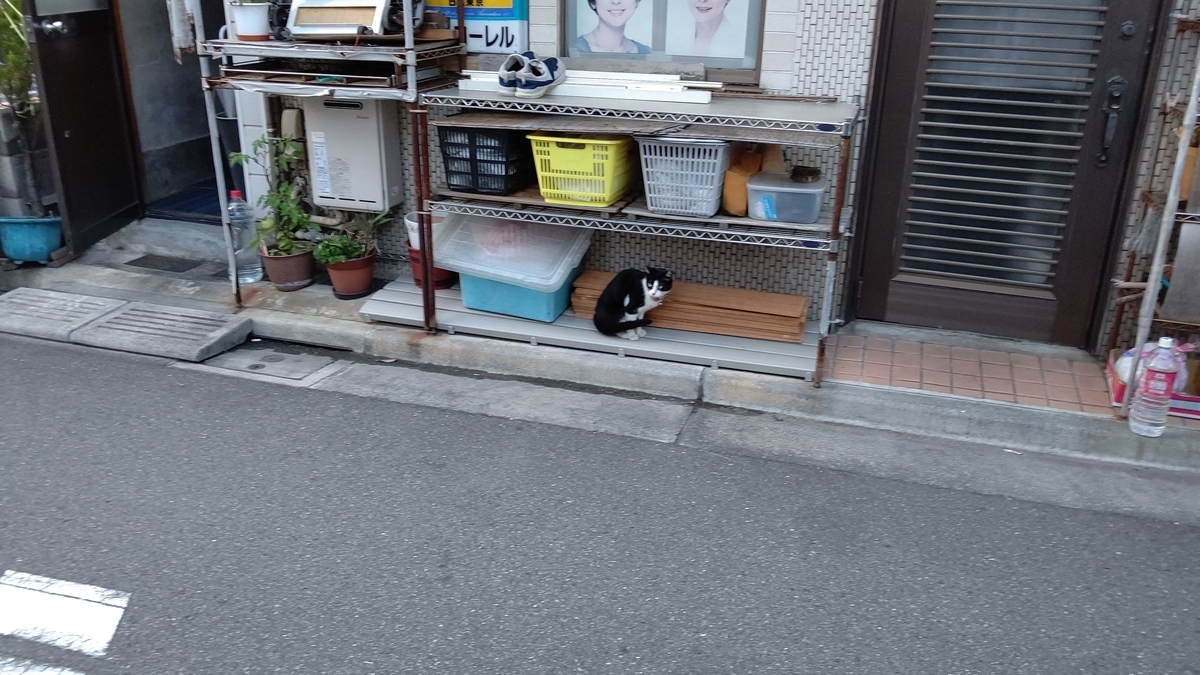 f:id:mikyo-ya:20210610103948j:plain