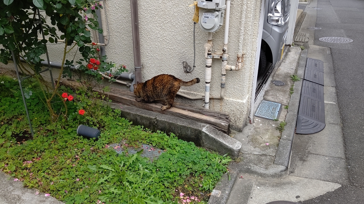 f:id:mikyo-ya:20210616084106j:plain