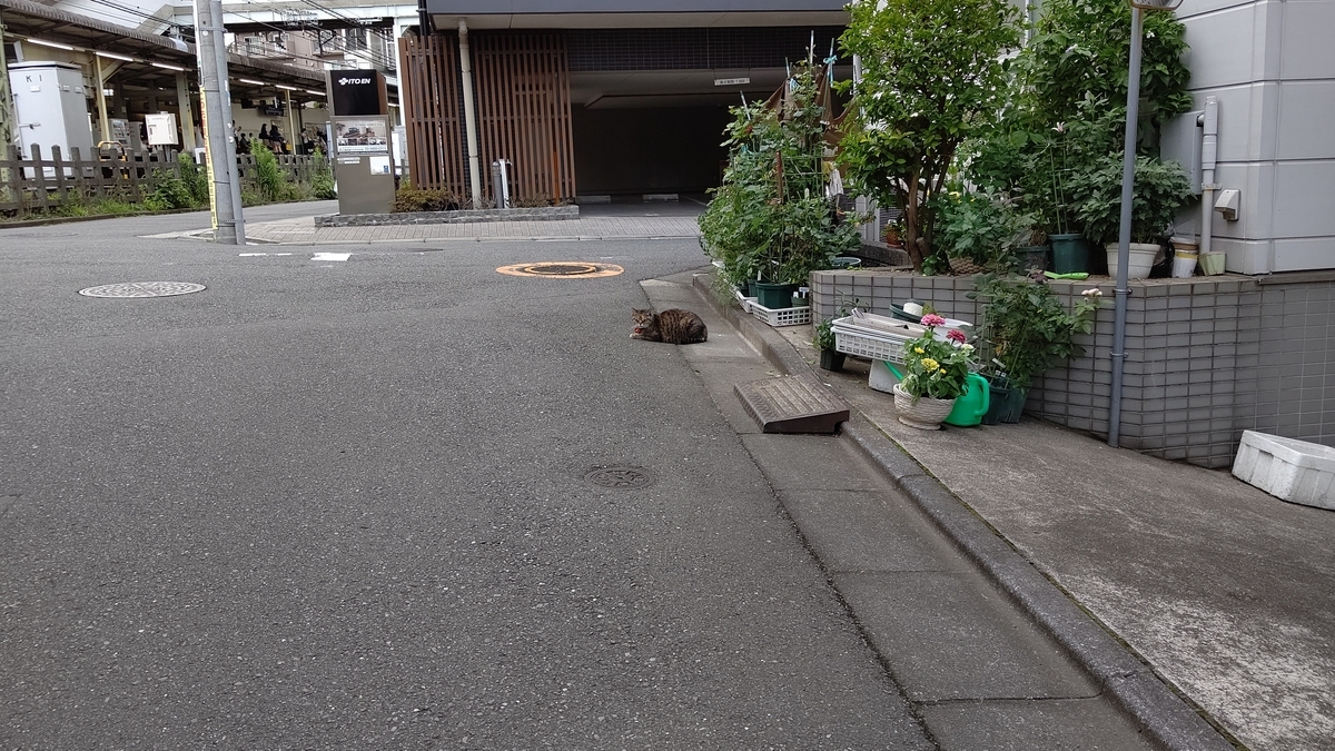 f:id:mikyo-ya:20210625080614j:plain