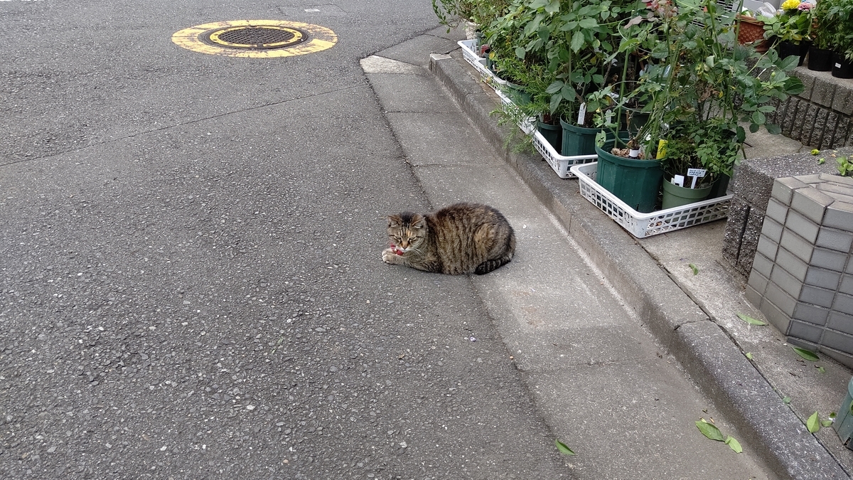 f:id:mikyo-ya:20210625081049j:plain