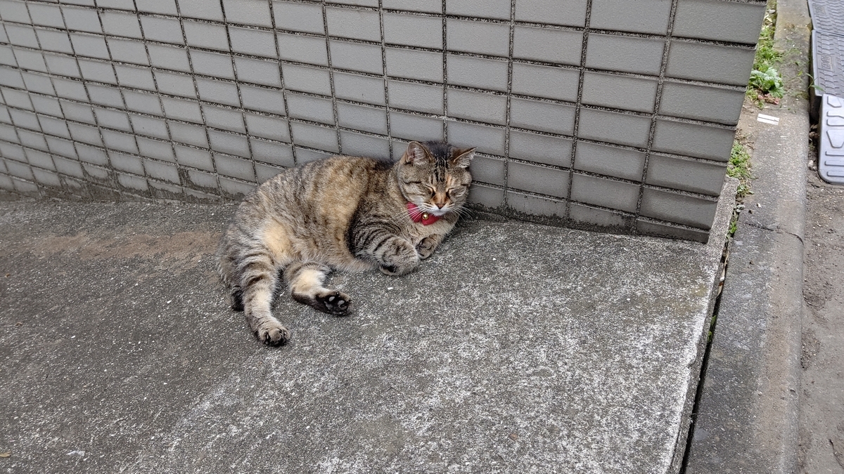 f:id:mikyo-ya:20210702080244j:plain