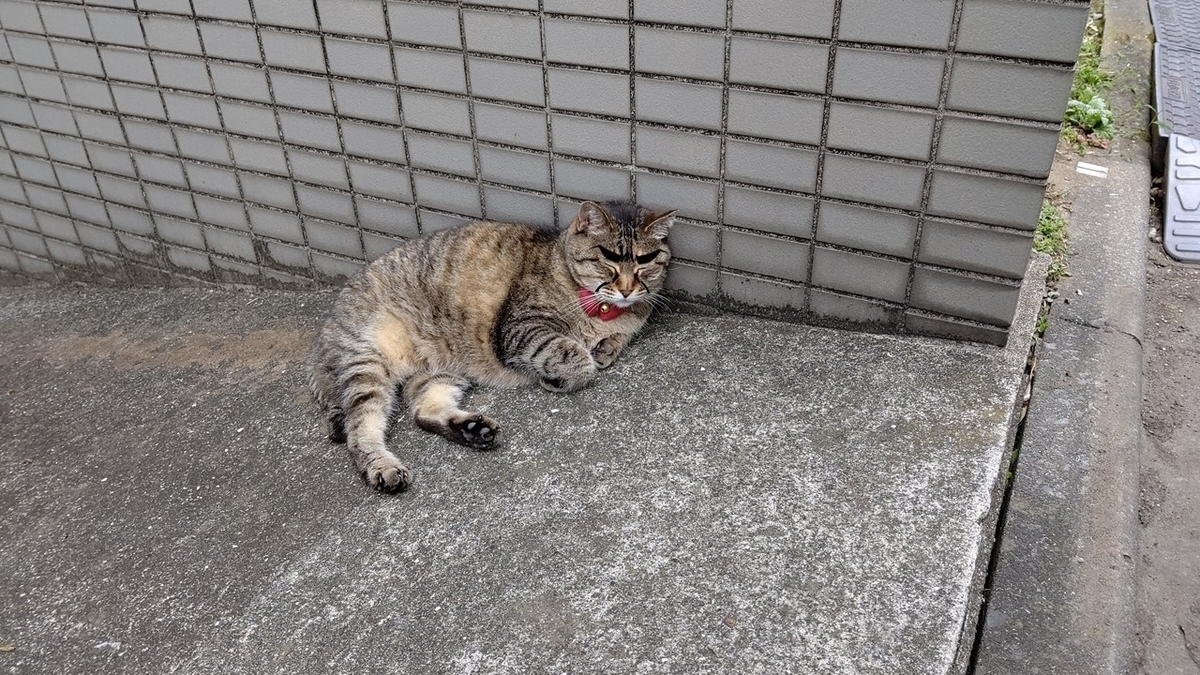 f:id:mikyo-ya:20210702081153j:plain