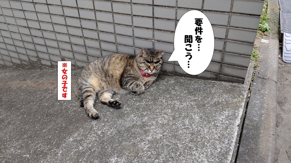 f:id:mikyo-ya:20210702081548j:plain