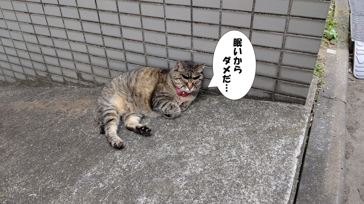 f:id:mikyo-ya:20210702081647j:plain