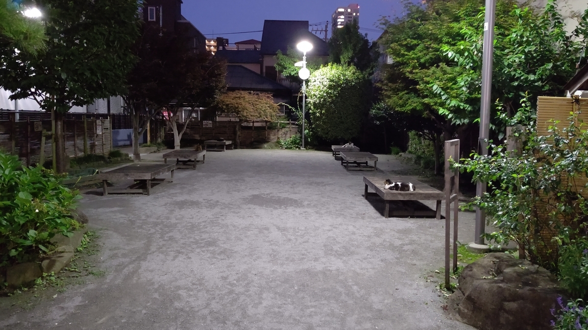f:id:mikyo-ya:20210708084116j:plain