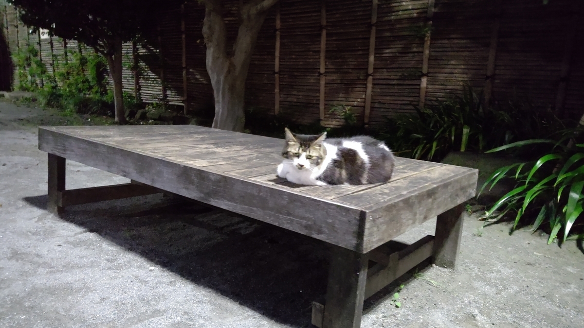 f:id:mikyo-ya:20210708084458j:plain