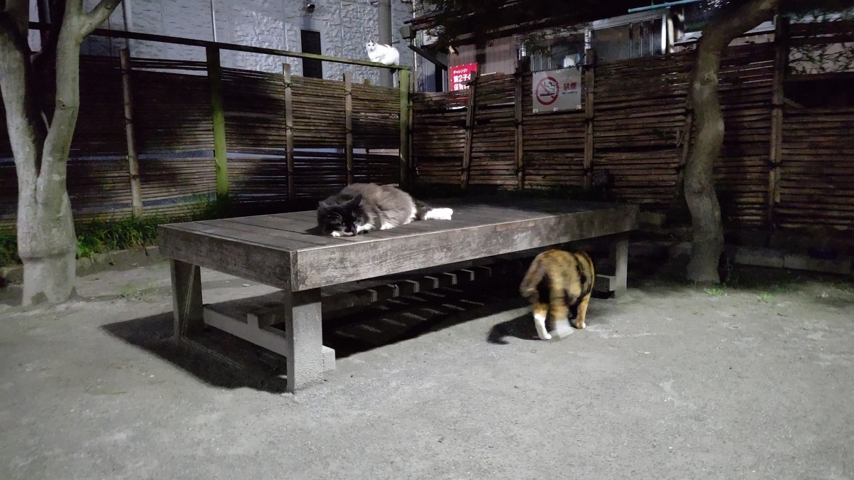 f:id:mikyo-ya:20210708084751j:plain