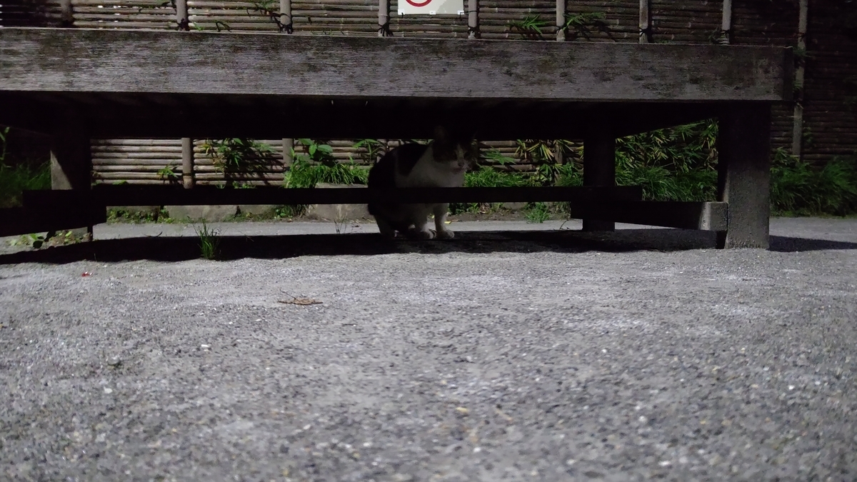 f:id:mikyo-ya:20210708085050j:plain