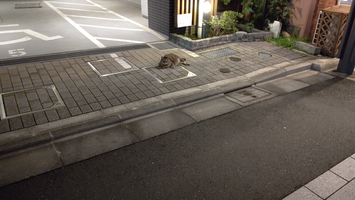 f:id:mikyo-ya:20210709084931j:plain