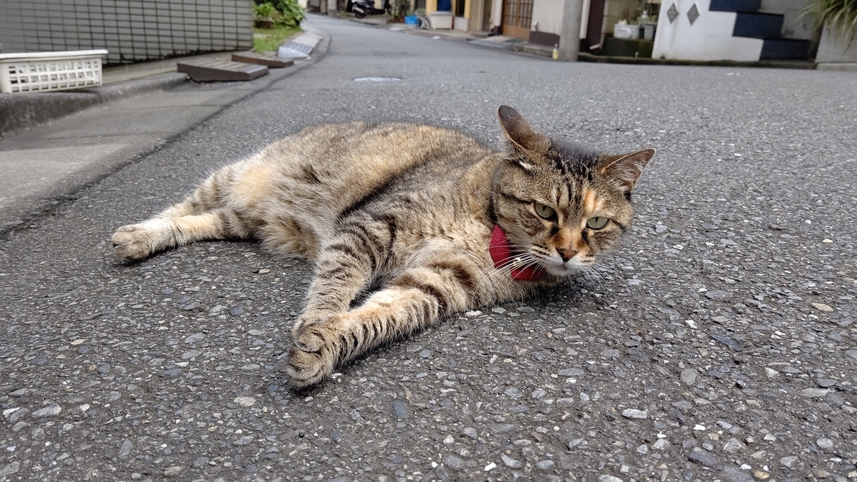 f:id:mikyo-ya:20210714090356j:plain