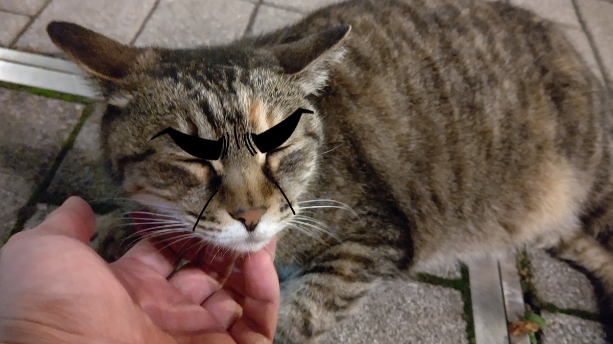 f:id:mikyo-ya:20210715082042j:plain