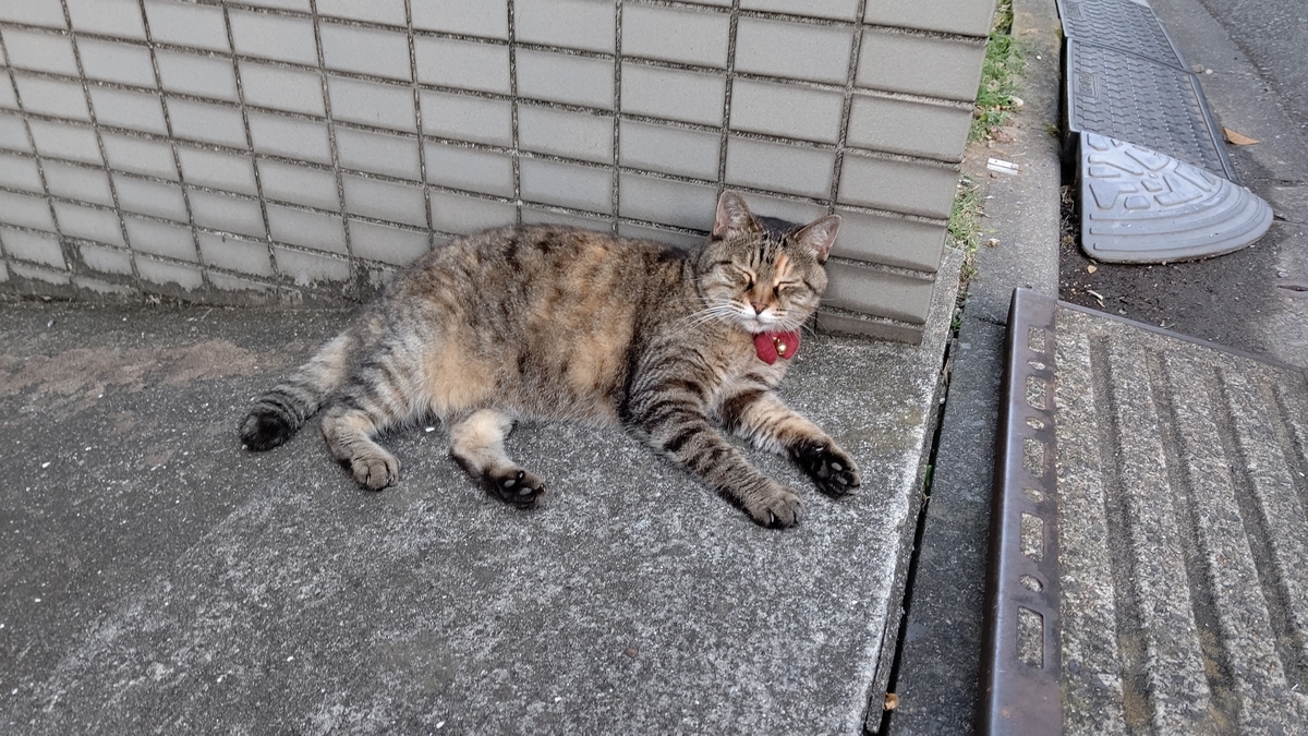 f:id:mikyo-ya:20210727081606j:plain
