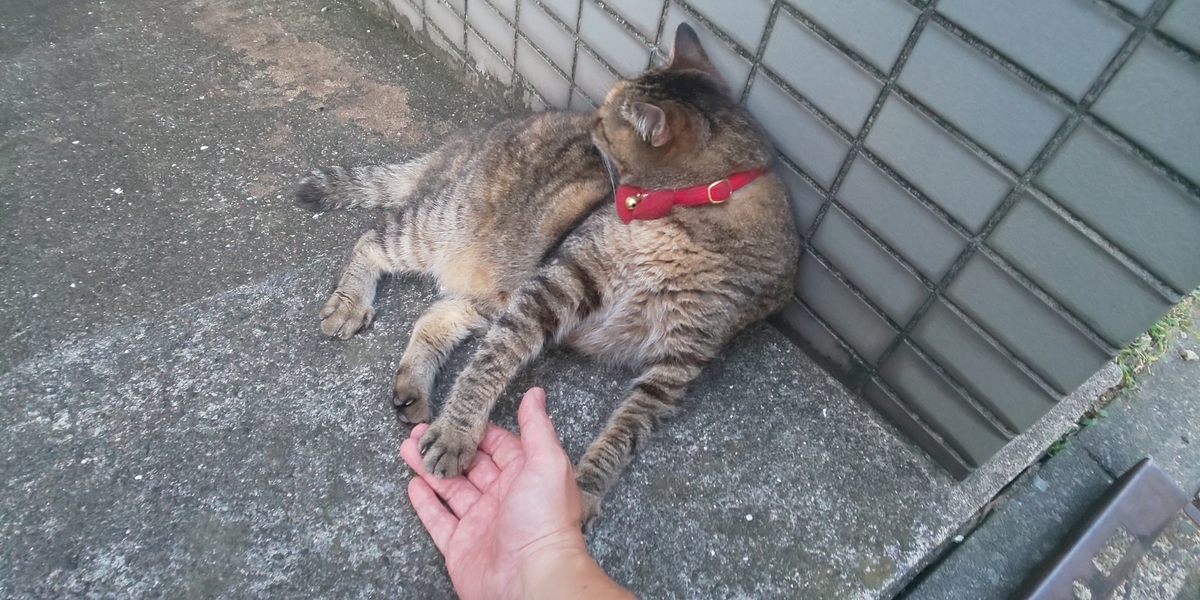 f:id:mikyo-ya:20210727083653j:plain