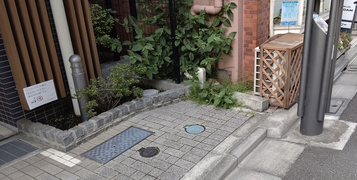 f:id:mikyo-ya:20210730085603j:plain