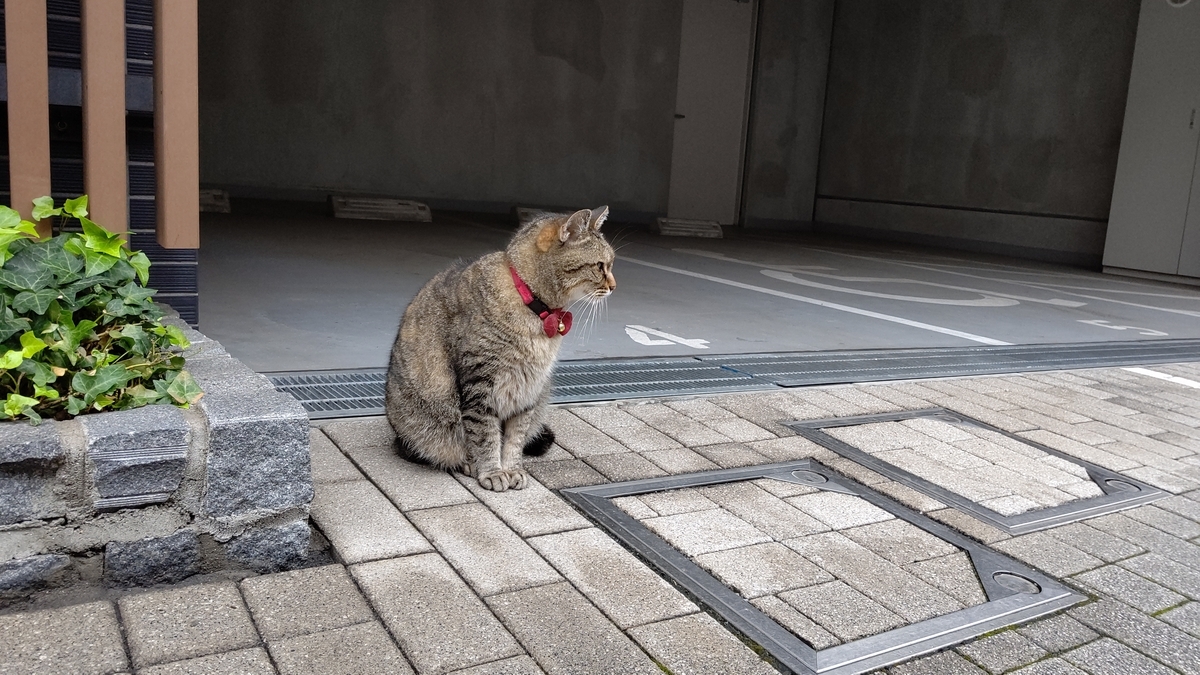 f:id:mikyo-ya:20210817084723j:plain