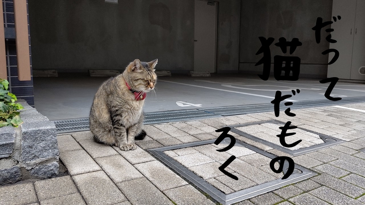 f:id:mikyo-ya:20210817090401j:plain