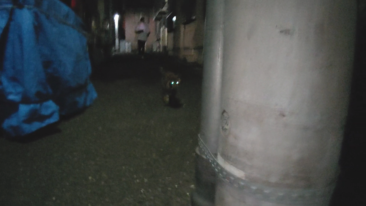 f:id:mikyo-ya:20210826090107p:plain