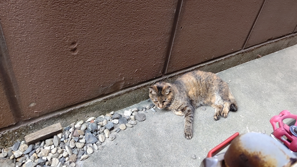 f:id:mikyo-ya:20210827085718j:plain