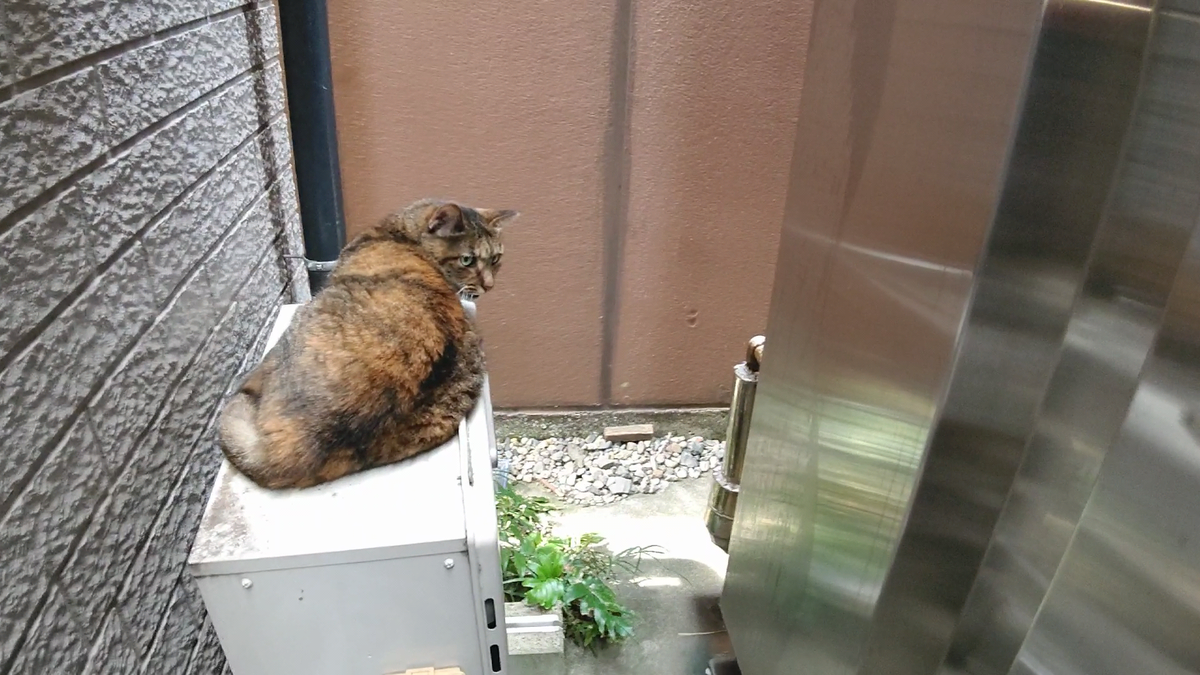 f:id:mikyo-ya:20210913091201p:plain