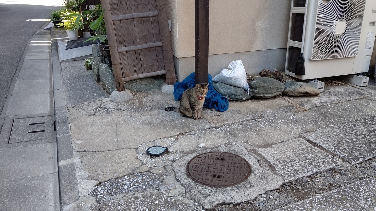 f:id:mikyo-ya:20210914084102j:plain