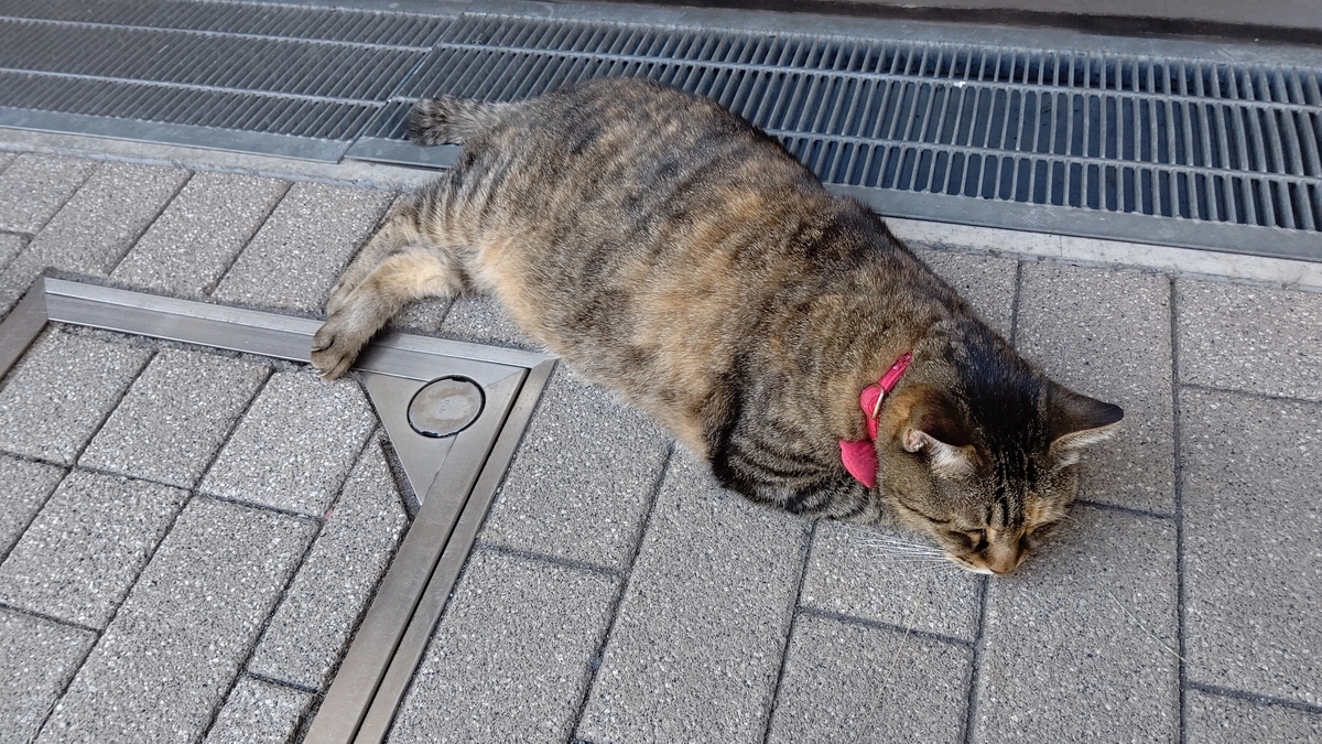 f:id:mikyo-ya:20210921085059j:plain