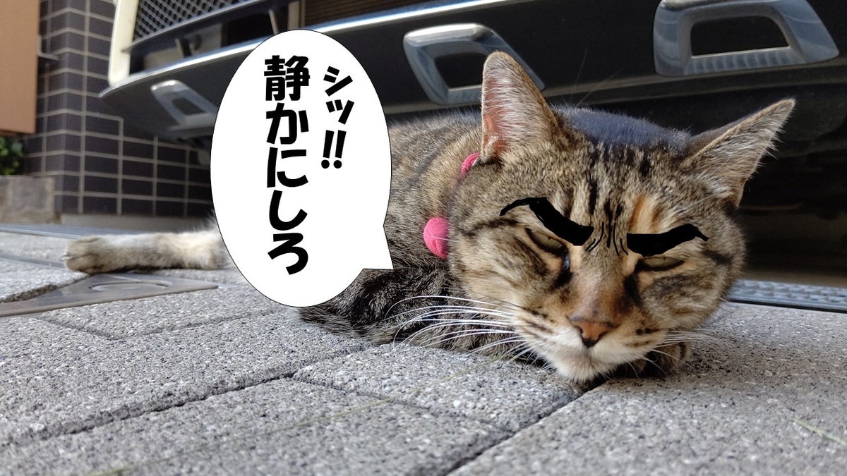 f:id:mikyo-ya:20210922085251j:plain