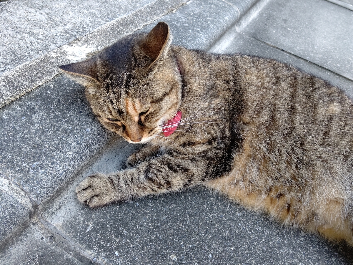 f:id:mikyo-ya:20210924091210j:plain