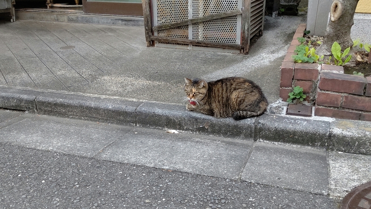 f:id:mikyo-ya:20211011090335j:plain