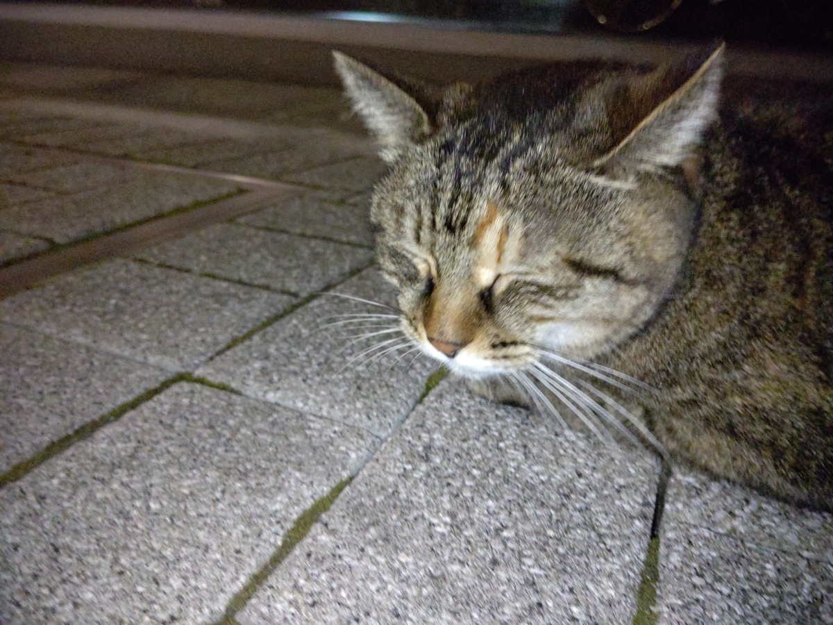 f:id:mikyo-ya:20211012091909j:plain